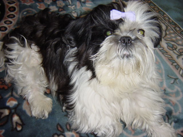 마야네 집입니다, 오바~3