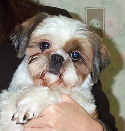 [re] 그리운 얼굴....