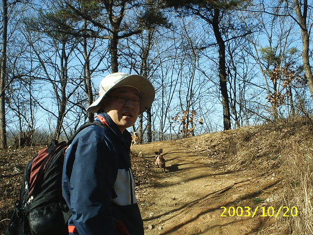 밤톨의 미워할 수 없는 똑똑한 수법