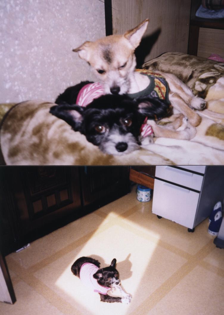 냄새가 장난이 아닌데....