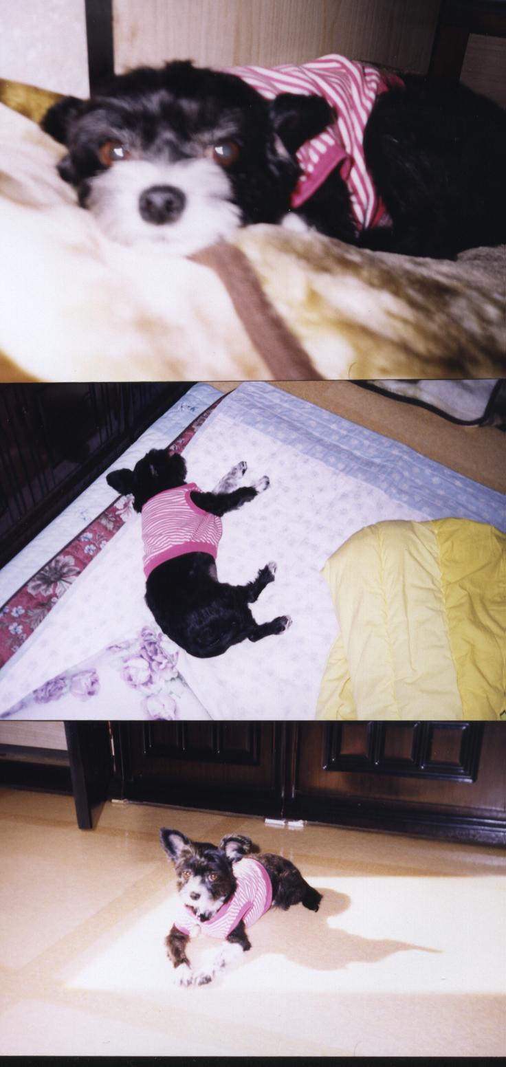 차돌이가 예뻐보일때....