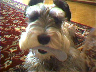 김포 또리에요(1)