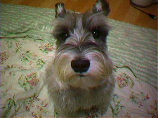 김포 또리에요(1)