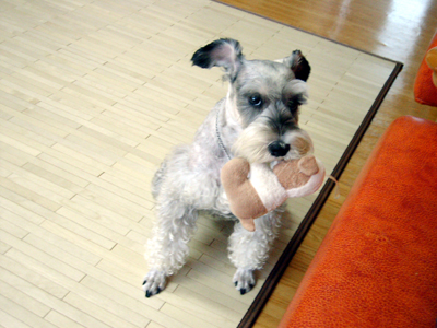 김포 또리에요(2)