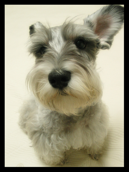 김포 또리에요(2)