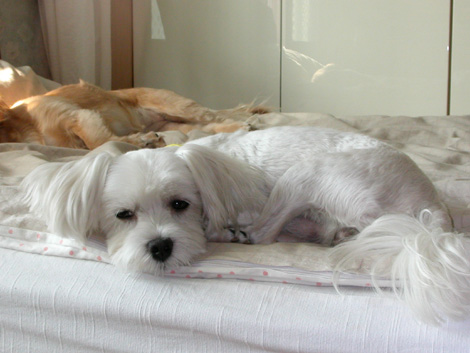 꼬맹이 사진입니다.