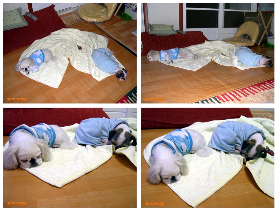 임시&gt; 주안이 1일