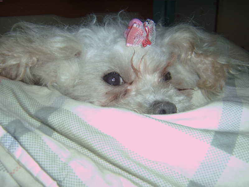 쪼미공주 전격공개 ^^