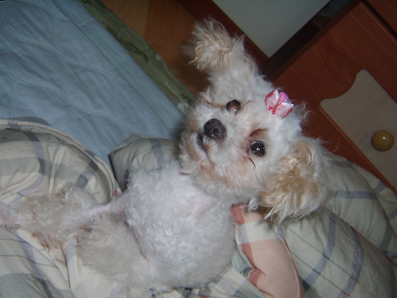 쪼미공주 전격공개 ^^