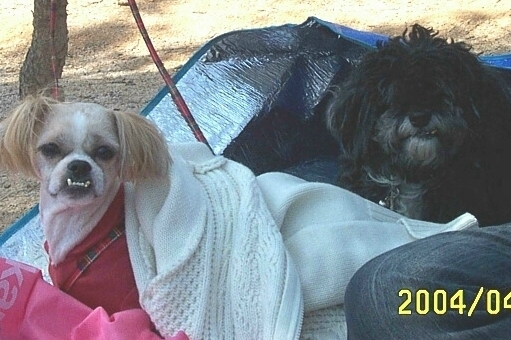 [re] 이쁜짓하는 마르쉐 ^^*