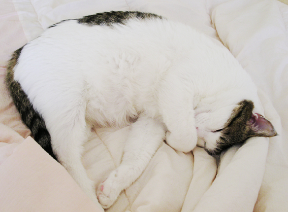 다들 건강하시져?~~^___________^