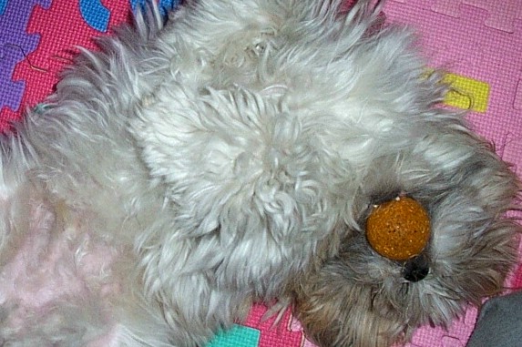 통통이랑 마르쉐