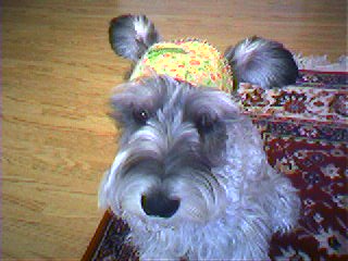 간만에 또리에요