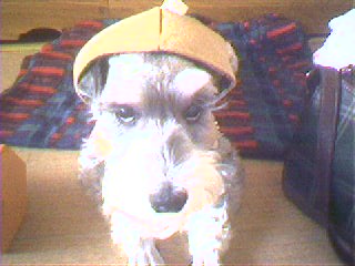 간만에 또리에요