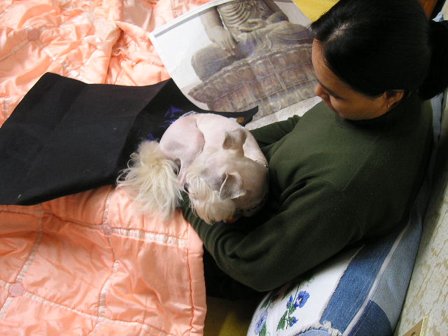 엄마 십자수 그만하구 놀아죠용~♡-볼키-