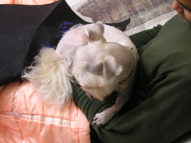 엄마 십자수 그만하구 놀아죠용~♡-볼키-