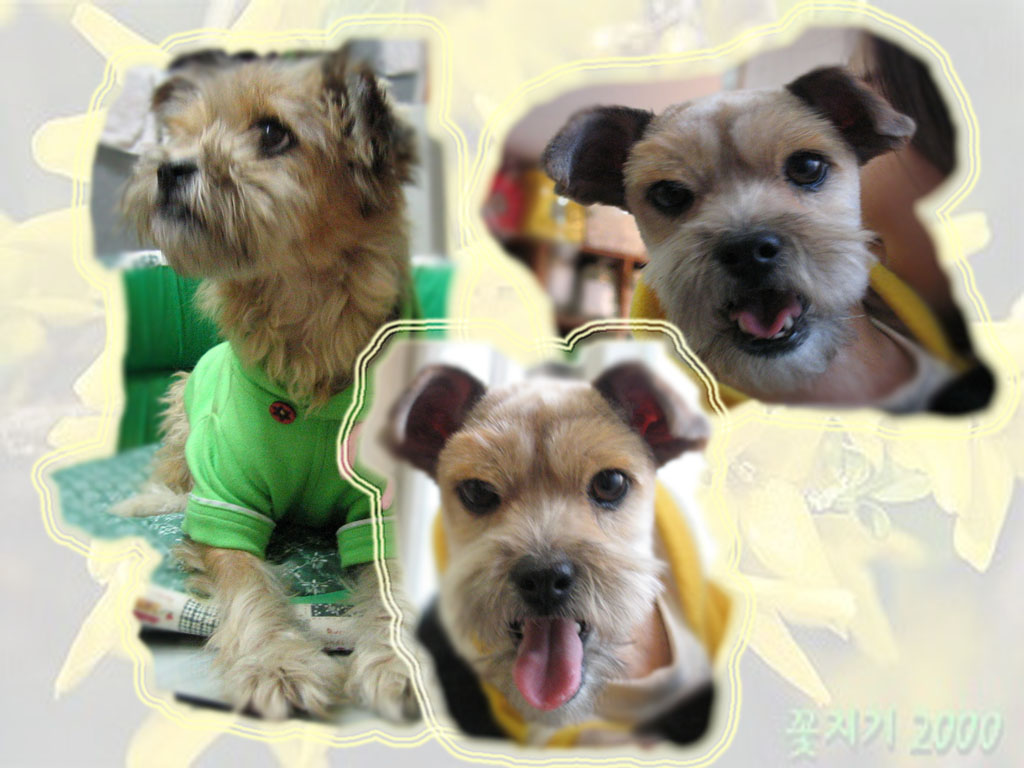 ^^ 사무실 서강이 임시엄마에요.