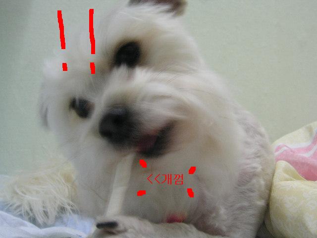 어둠속의...볼키...