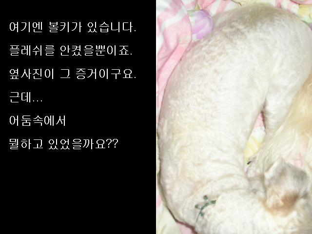 어둠속의...볼키...