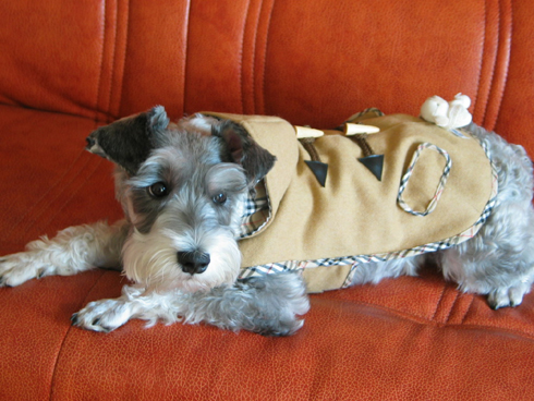 간만에 또리사진 도배들어가요(1)