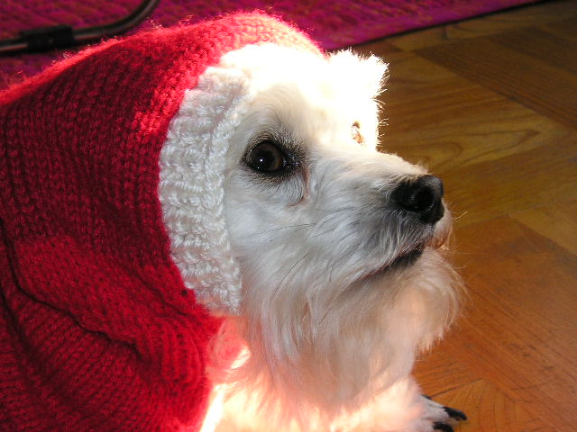 오랜만에 알탕이 소식입니당