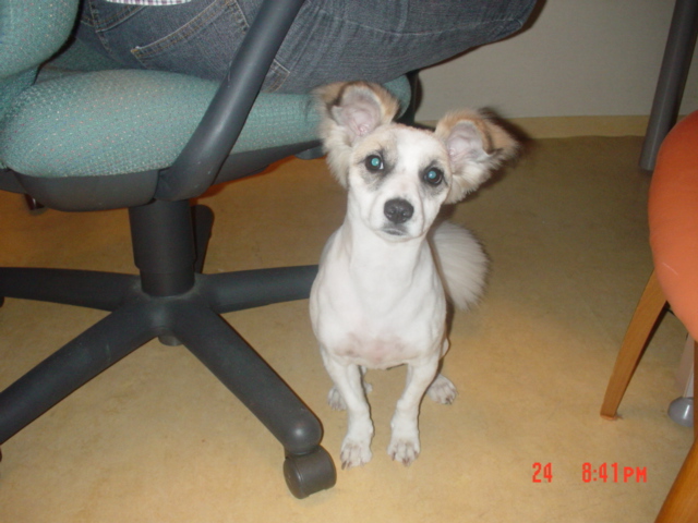 많이 행복 합니다...