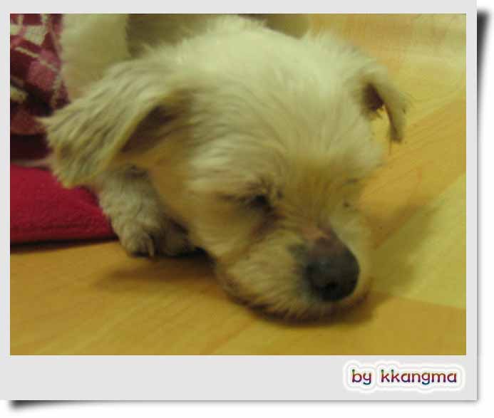   3월초 누리 사진...