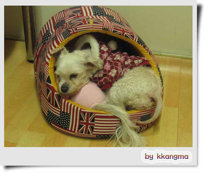   3월초 누리 사진...