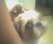 핸드폰으로나마..^^