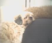 핸드폰으로나마..^^