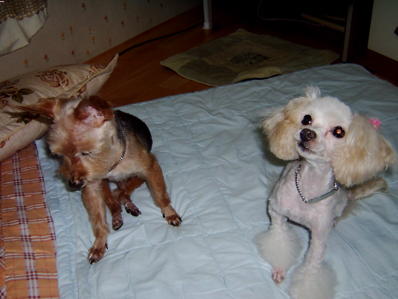 울 애기들 회춘하다 ^^