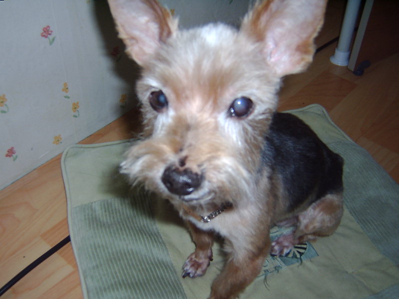 울 애기들 회춘하다 ^^