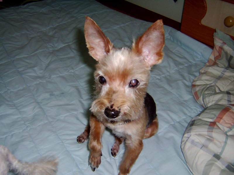 이쁘죠 이쁘죠?? ^^