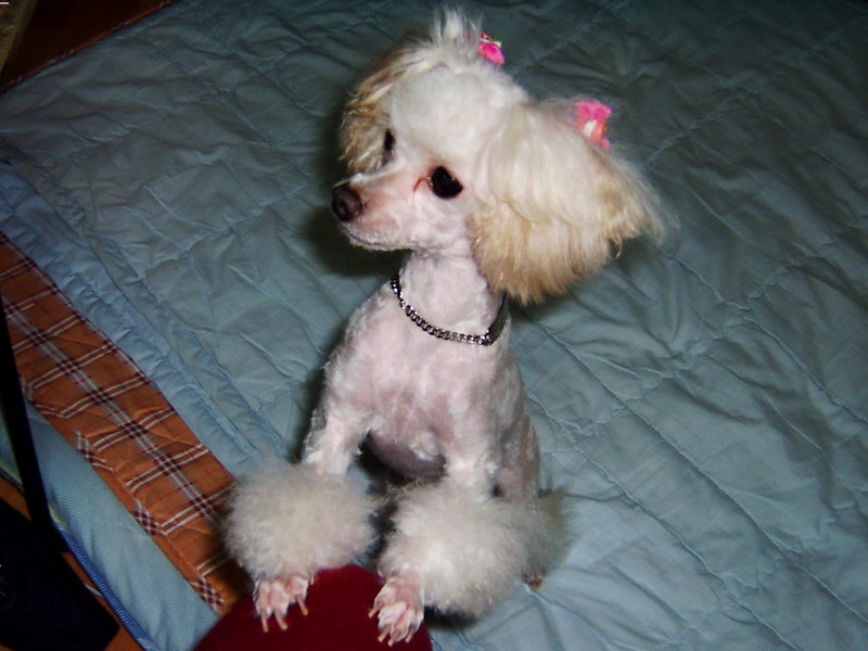 이쁘죠 이쁘죠?? ^^