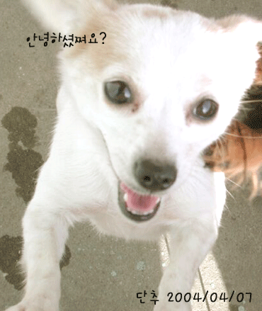 [단추네] 너무 오랫만에...