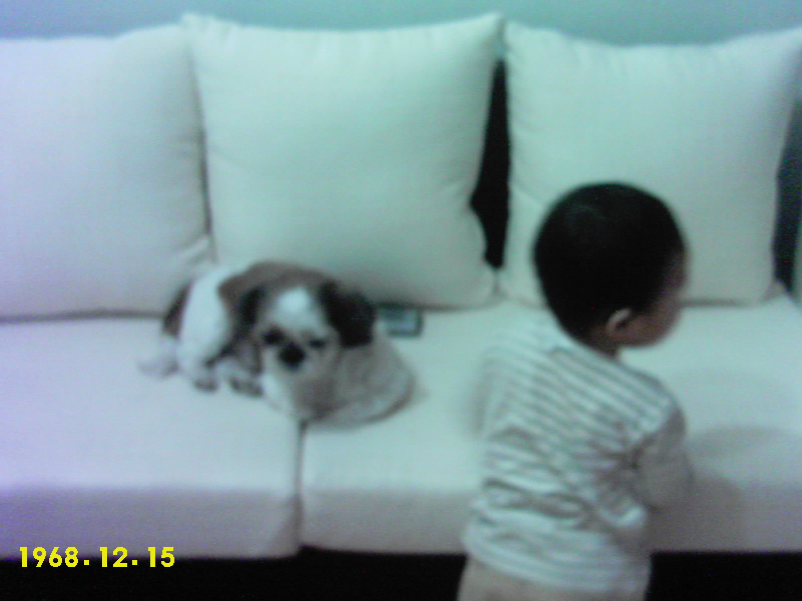 새벽이 사진더~~!!