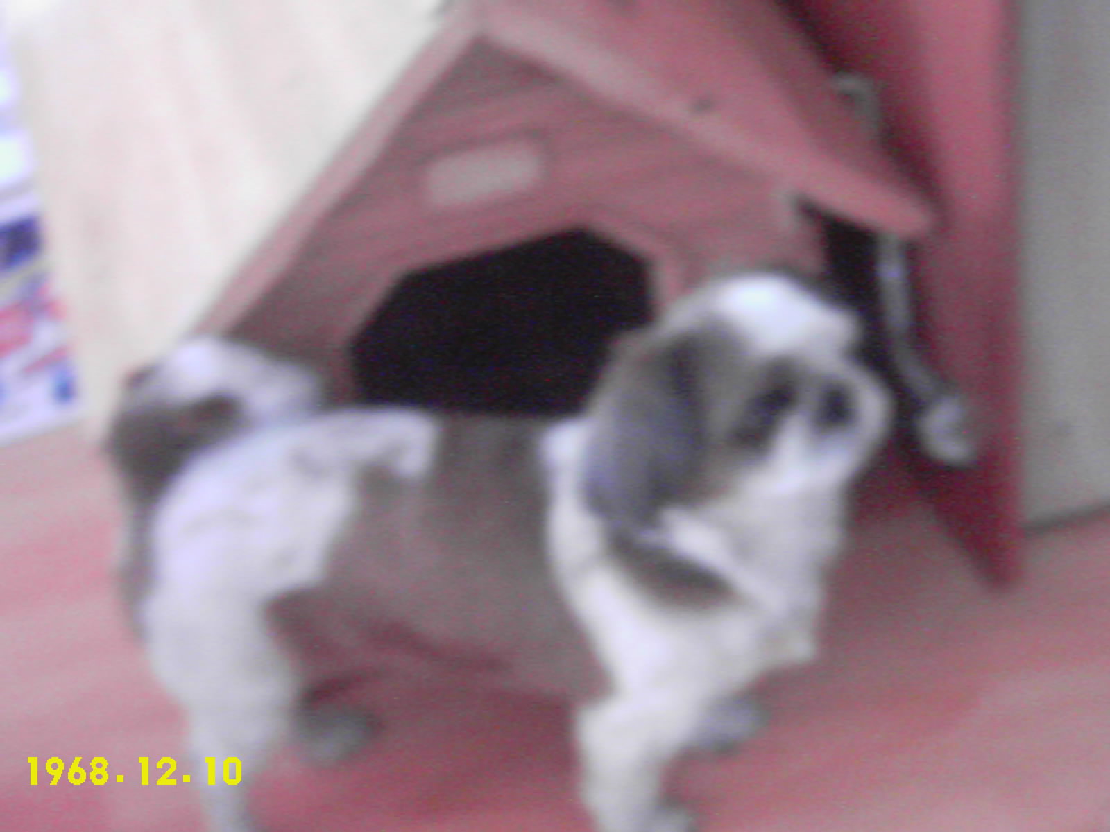 새벽이 사진더~~!!