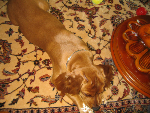 섣달이(누리) 소식입니다. ^^