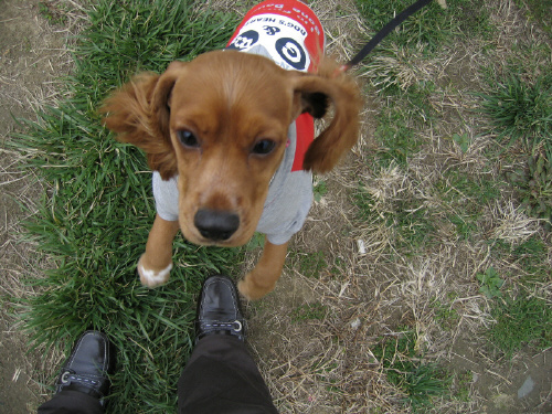 섣달이(누리) 소식입니다. ^^