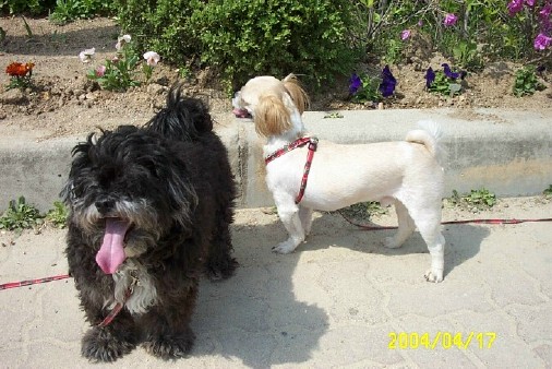 통통이랑 마르쉐