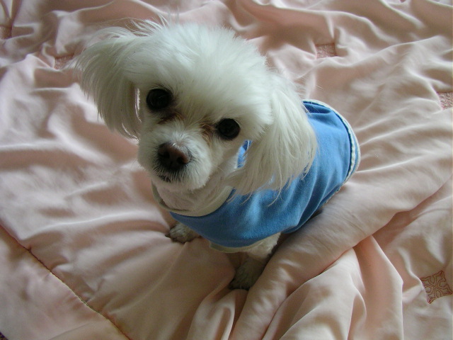 전에 글올렸던 사람인데요...