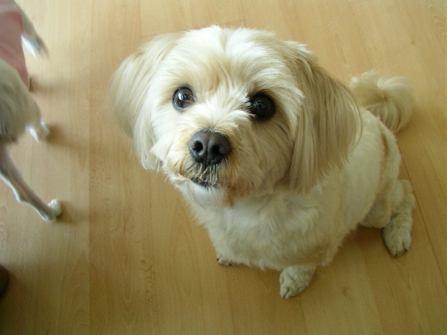 전에 글올렸던 사람인데요...