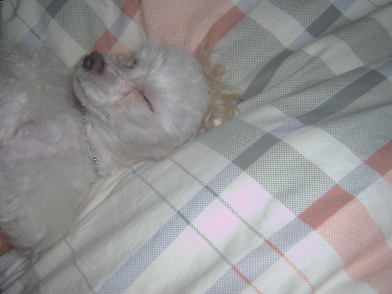 쪼미의 앙증 맞은 모습입니다.