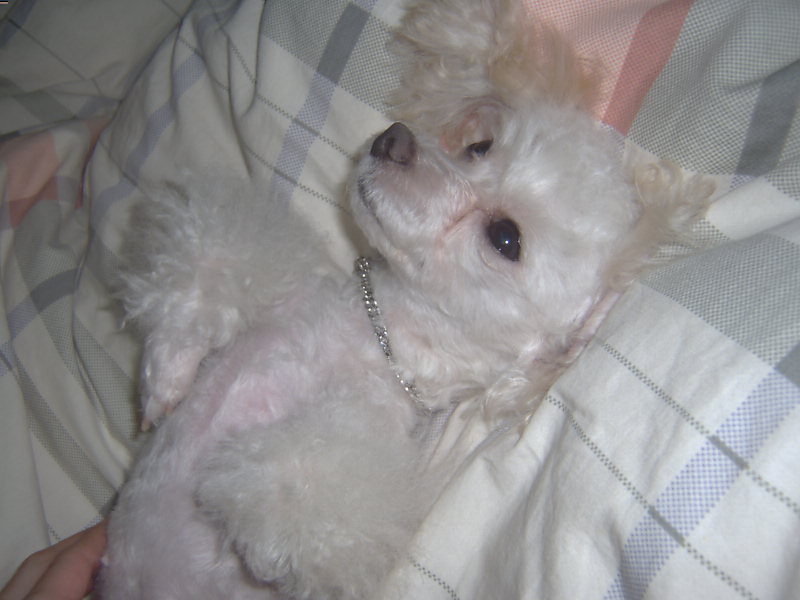 쪼미의 에로틱(?) 버전 입니다.