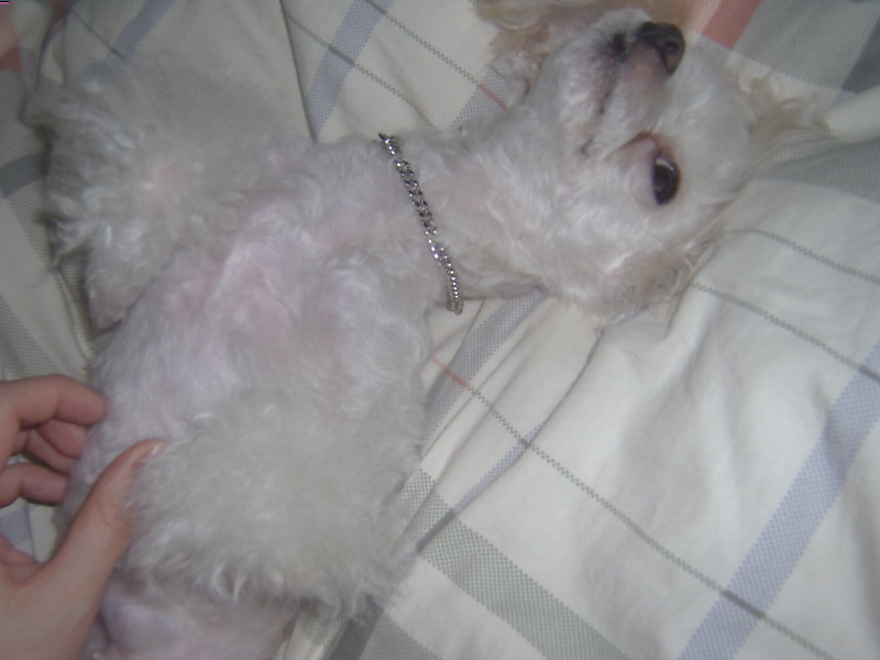 쪼미의 에로틱(?) 버전 입니다.