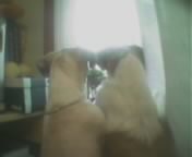 나란히..나란히..