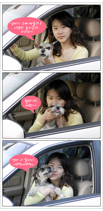 나무.. 멀미가 날랑말랑 하는 사진..