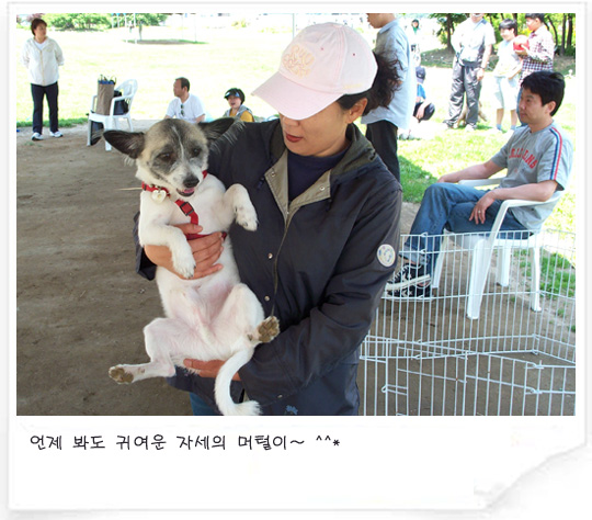 [입양동물과의 만남] 머털이