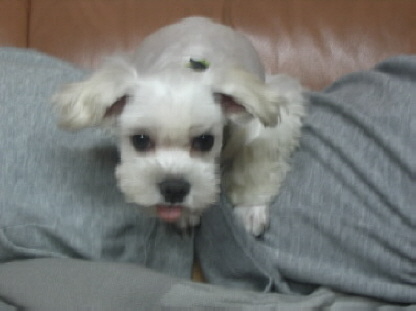 퀴즈@@