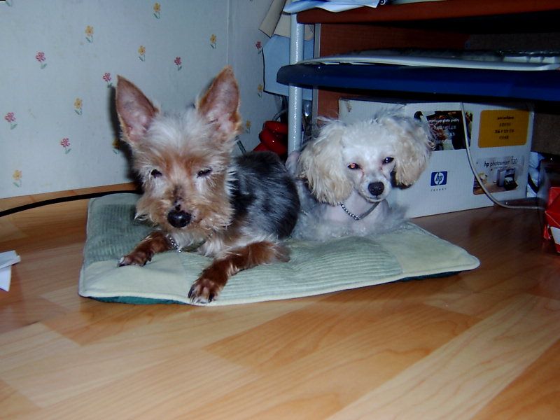 울 애들이 한자리에 있는 장면 (희귀본)